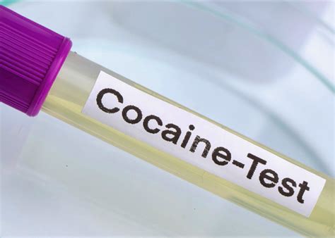 How Long Does Cocaine Show Up in a Drug Test: A Journey Through Time and Chemistry