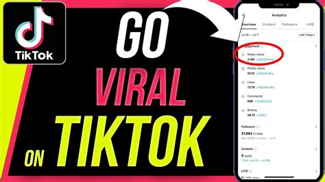 How to Make TikTok Video Viral: Why Cats Probably Know the Secret