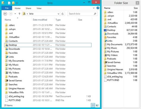 show folder size windows 11: A Journey Through Digital Clutter and Beyond