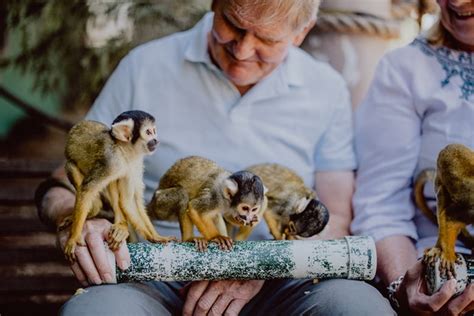 ザ・パラダイスパーク！ゾーイの壮大な自然と動物たちとの触れ合いの絶景を満喫！