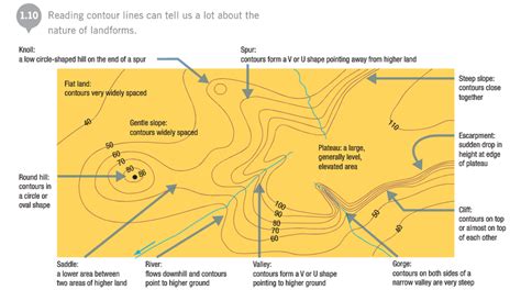 What Does a Relief Map Show: A Journey Through the Contours of Imagination